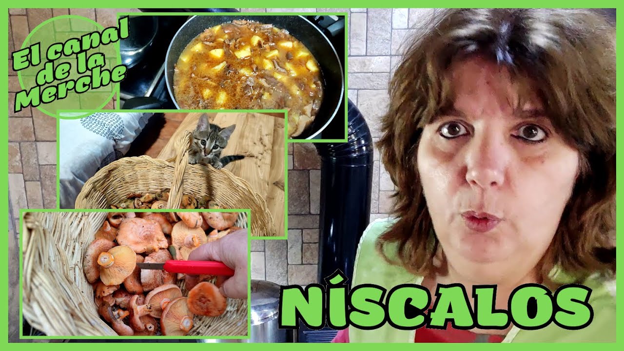 S48/2023: PASEO POR EL MONTE, ARROZ NEGRO Y PATATAS CON NÍSCALOS