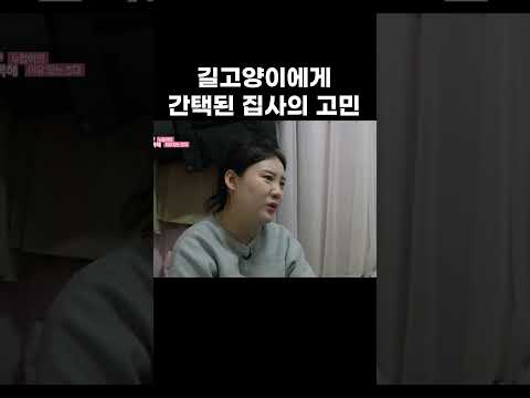 집에 화장실 있는 줄 모르는 누렁 고양이 #shorts