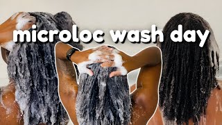 Microloc Wash Routine for Healthy Microlocs