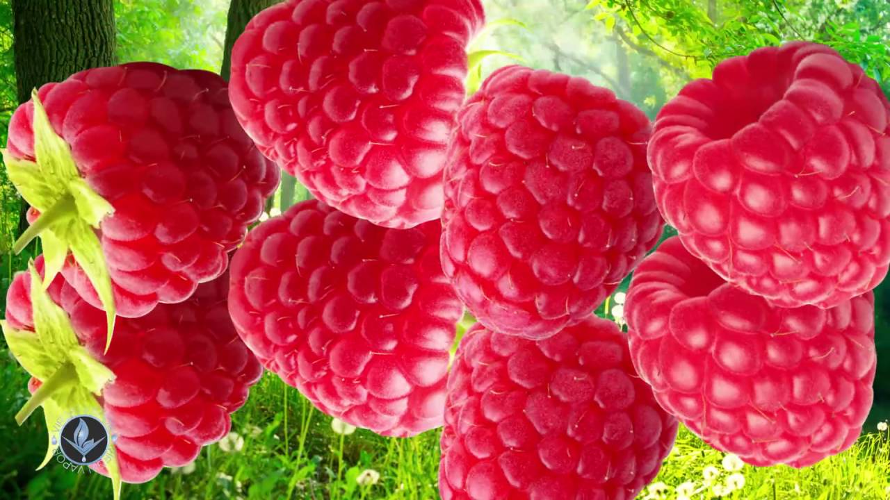 Razzmatazz Virgin Vapor