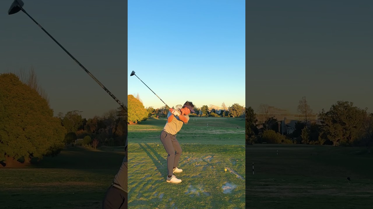 Cameron Young swing impersonation
