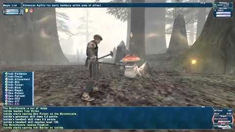 FINAL FANTASY XI  ULTIMATE COLLECTION SEEKERS EDITION review for PC