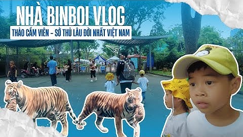 THẢO CẦM VIÊN SÀI GÒN: Khám Phá Thế Giới Động Vật Cùng BinBoi | Nhà BinBoi Vlog