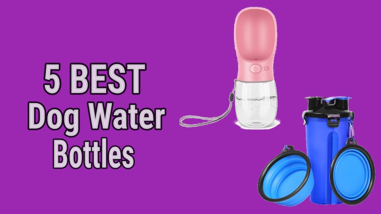 5 Best Dog Water Bottles YouTube