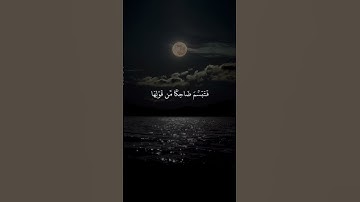 سورة النمل - القارئ بلال دربالي