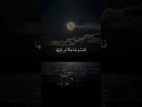 سورة النمل القارئ بلال دربالي