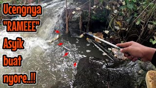 MUMPUNG BISA KITA MANCING UCENG LAGI ‼️SAMBIL NYORE NUNGGU BUKA PUASA