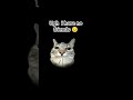 not my problem #funny