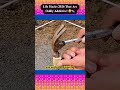 Life Hacks 2026 That Are Oddly Addictive Diy Secrethacks Easyhacks Morninghack Facts Life Hacks 2026 That Are Oddly Addictive Diy Secrethacks Easyhacks Morninghack Facts