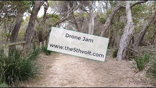 AE Modular - Drone Jam in the Bush