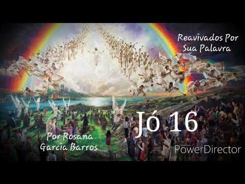 Jó 16 - Rosana Garcia Barros