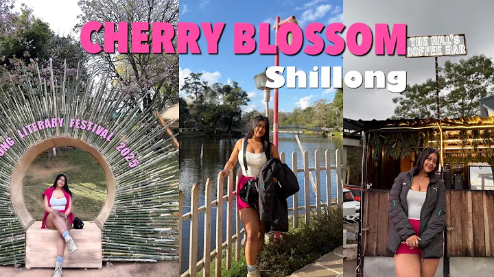 A day in my life|cherry blossom#travel#meghalaya#northeastindia#placestovisit #assamesevlog#youtuber