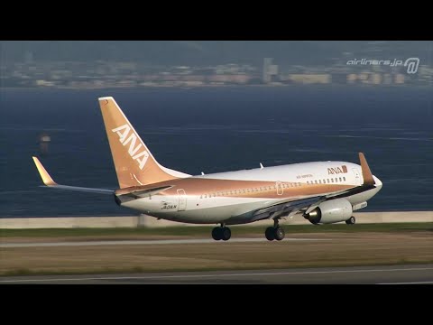 2007 Kansai] ANA 737-700 ゴールドジェット《EL73G JA01AN