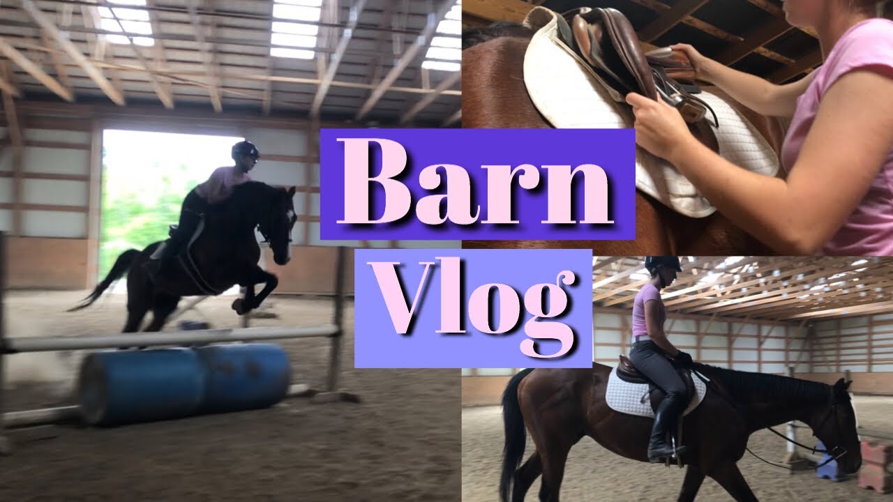 BARN VLOG! || Come to my lesson - YouTube