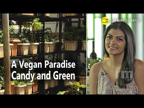 Shraddha Bhansali, a young entrepreneur who serves green food | Channeliam.com