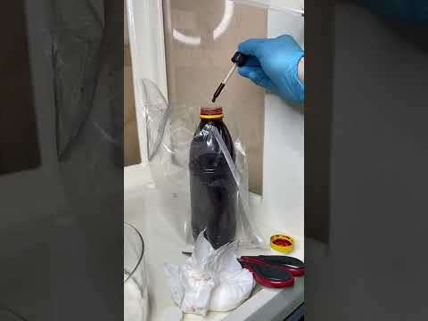 Vidéo: Lorsque la catalase est ajoutée au peroxyde d'hydrogène, les bulles sont ?