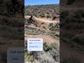 Huge Sierra vista jumps!!! #amtb #bikelife  #mtbbike