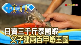 歸零再起“泰國蝦王國”黑豬泰國蝦【台灣真善美】2020.10.25