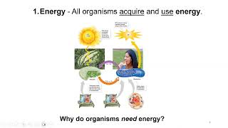 01 Introduction to Living Organisms