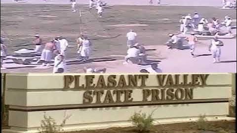 The Gangs Of The Cali S.N.Y. Yards ( Protective Custody) ( Northern Riders ) ( INDEPENDENT RIDERS )