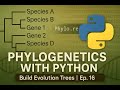 Phylogenetics using Python | Build &amp; Visualize Evolutionary Trees | Bioinformatics Ep. 16