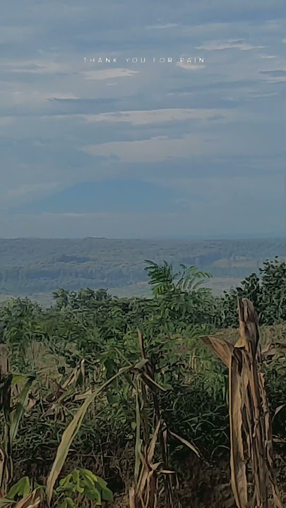 STORY GUNUNG LAWU DI PAGI HARI