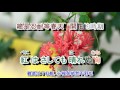 目ン無い千島(春夢不了情)*** 大川栄策 / 女調