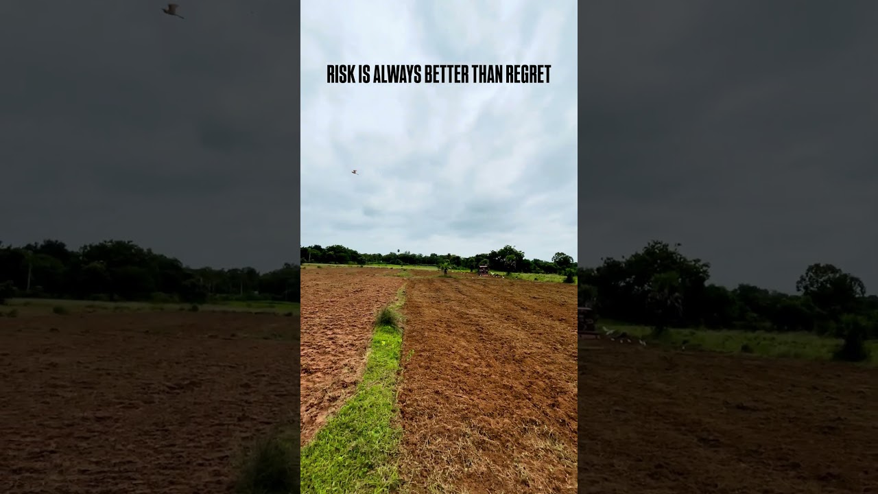 RISK IS BETTER THAN REGRET 