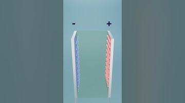 What’s Inside a Capacitor? : Explained in 60 Seconds