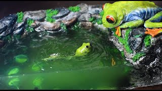 Diorama - frog and tadpole in the well / polymer clay /sculpting