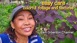 Create a colorful garden with foliage ,easy care,And more. Ram Giberson Channel