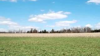 Homes for Sale - Callahan Wellsboro PA 16901 - Scott Wilcox