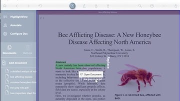 LiquidText advanced   separate workspace