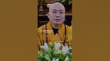 Nghe thầy dạy mà thấm từng câu. Thầy Thích Tâm Đức #giacngogiaithoat #phatphap #phatthoai