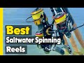 ✅Top 5: Best Saltwater Spinning Reels In 2023 🎣 [ Lightest Saltwater Spinning Reel ]