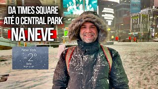 Da TIMES SQUARE até o CENTRAL PARK | Nova York na neve