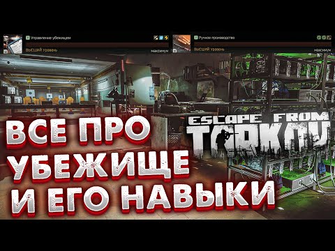 Все Про Убежище и Его Навыки  🎥  В Escape From Tarkov