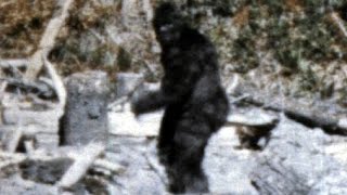 Bray Road Beast: Hominoid Sightings