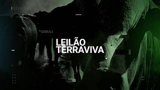 LEILÃO FAZENDA SANTO ANTÔNIO | 02/04/2026 – 20H