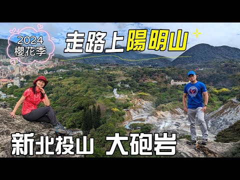 2024陽明山花季即時花況，與其塞在路上，不如走路上陽明山，順道到大砲岩拍張網美照，網美景點新北投山、大砲岩。