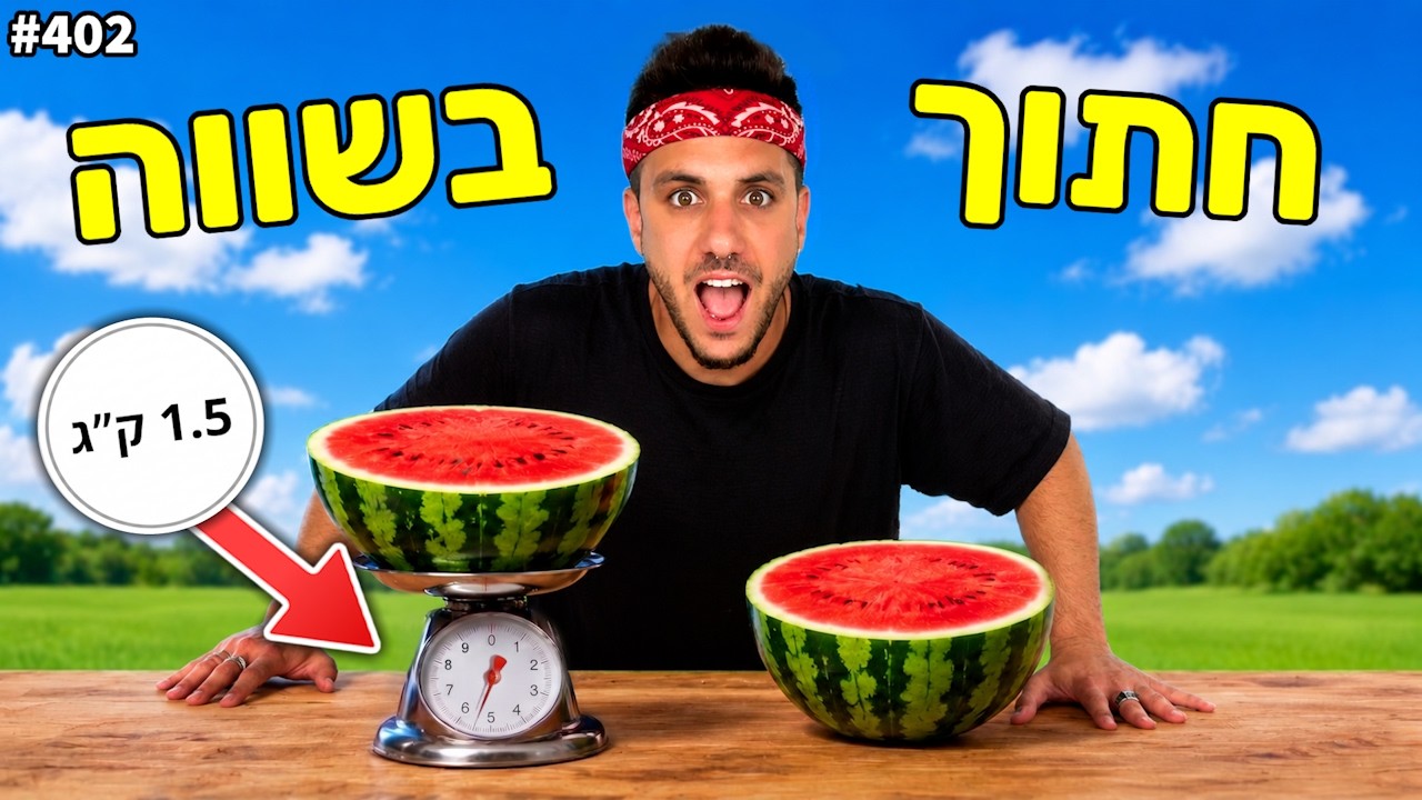 שיחקנו חתוך בשווה! (הטרנד הכי גדול מגיע ליוטיוב)