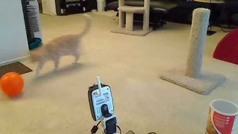 Robot Head Tracking of a Colored Object #2