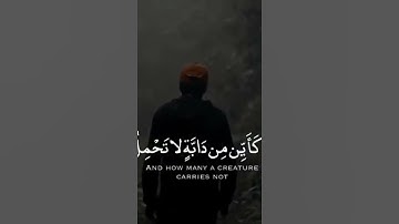 #القرآن_الكريم #foryou #fypシ #راحة_نفسية #ايات #صوت_جميل #تلاوة_هادئة #short #القارئ_عبدالرحمن_مسعد