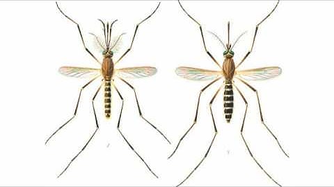 Passages 2. Unit 3, Science and tecnology