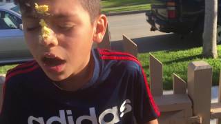 Basic-how to clean up a after mess ...