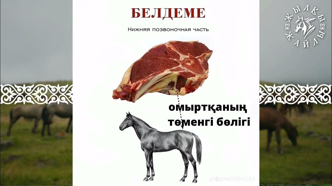 Қыз бен иттің порно секс