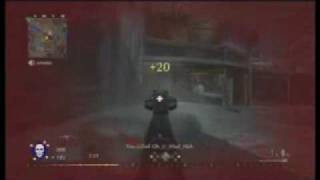 easy cap test (codWAW)