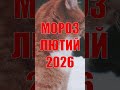 Знов Мороз 9 10 лютого Нова хвиля холоду