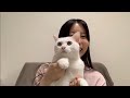 はにぽん先輩のお話をしてことぽんになったよ の動画、YouTube動画。