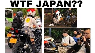 MEMES OF DANKNESS V443